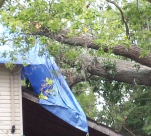 Tree fell on roof